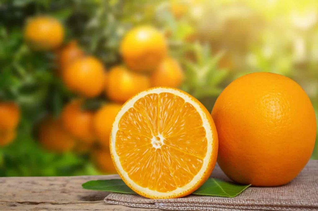 Oranges
