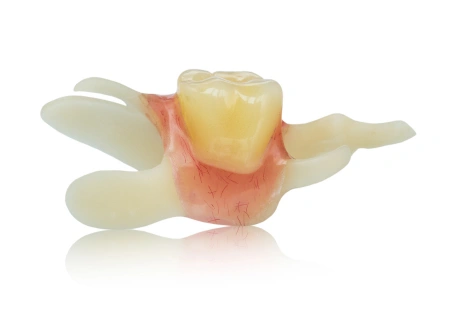 flipper tooth 2